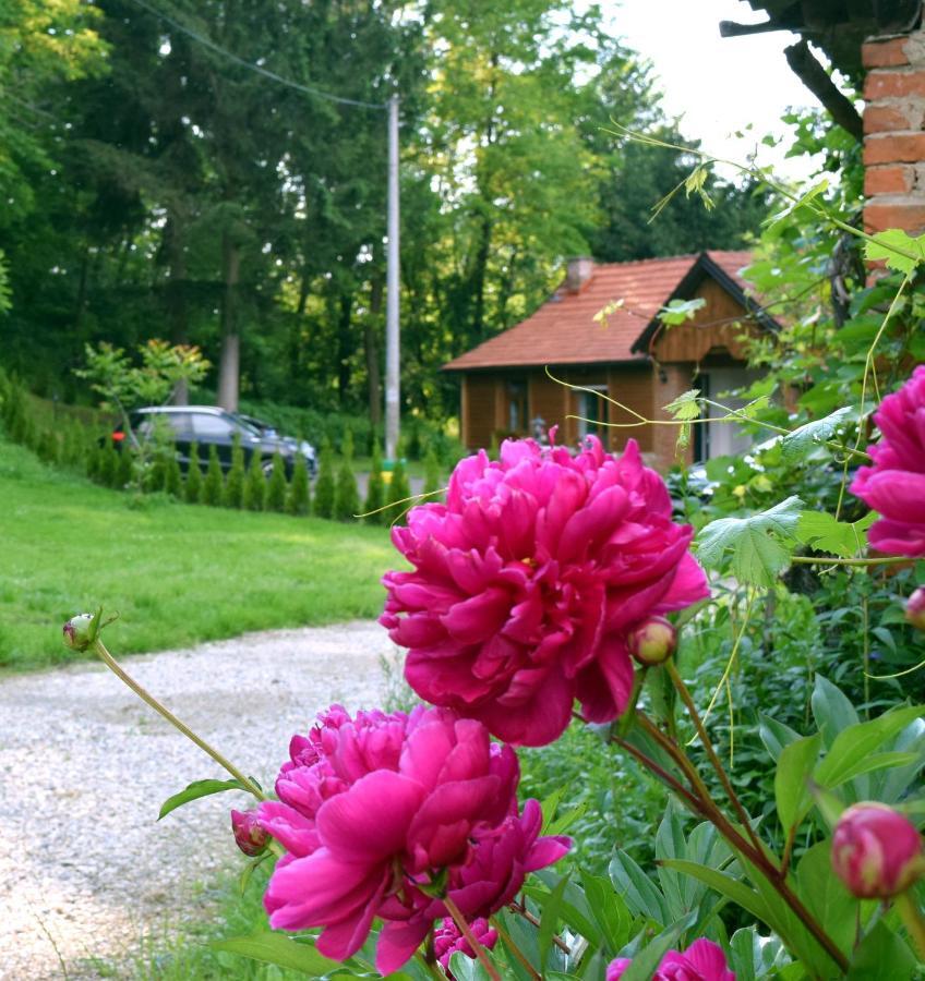 Apartmani Katruza Sveti Martin Na Muri Exteriör bild